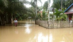 BPBD: Tujuh desa di Aceh Barat terendam banjir