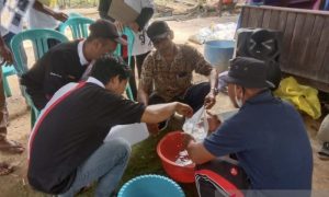 Disbun Kaltim latih petani olah karet berkualitas