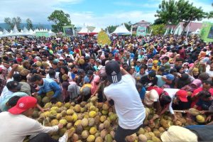 Pemkab Parigi sediakan 10 ribu durian di Festival Durian