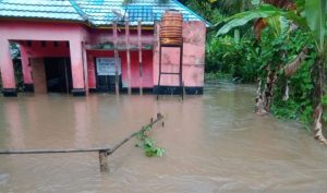 Sebanyak 287 rumah di Kabupaten Bengkulu Utara terdampak banjir