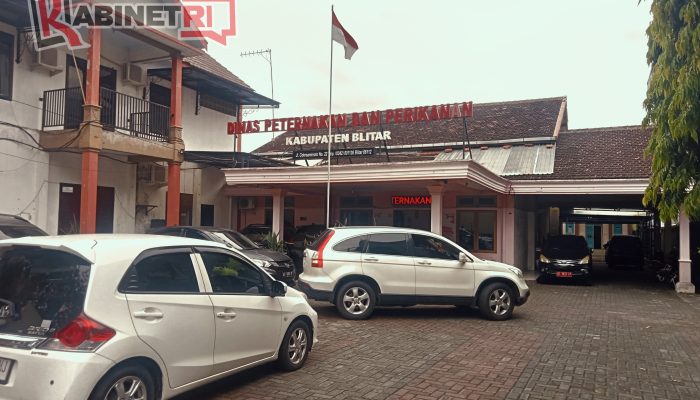 PMK di Blitar 72 Sapi Terjangkit Awal 2026, Nglegok Jadi Zona Waspada