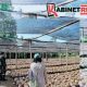 Kementan Tinjau Pembibitan Kelapa di Blitar, Puluhan Ribu Bibit Unggul Siap Didistribusikan ke Petani